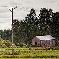 Buy canvas prints of Old Barn By The Power Lines by Jukka Heinovirta