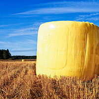 Buy canvas prints of Yellow Hay Bale On The Fields by Jukka Heinovirta