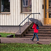 Buy canvas prints of Walking With Umbrella by Jukka Heinovirta