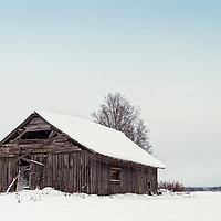 Buy canvas prints of Old Barn Houses On The Snowy Fields by Jukka Heinovirta