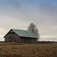 Buy canvas prints of Old Barn House Against The Grey Skies by Jukka Heinovirta