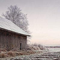 Buy canvas prints of Frosty Morning On The Fields by Jukka Heinovirta