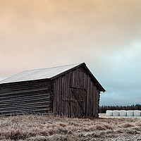 Buy canvas prints of Old Barn On The Frosty Fields With White Bales by Jukka Heinovirta