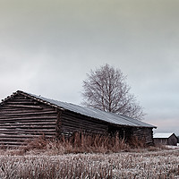Buy canvas prints of Old Barn Houses On The Frosty Fields by Jukka Heinovirta