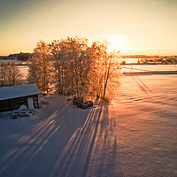 Buy canvas prints of Long Shadows On The Winter Fields by Jukka Heinovirta