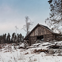Buy canvas prints of Old Shed By The Forest by Jukka Heinovirta