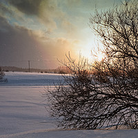 Buy canvas prints of Sunset In The Snowfall by Jukka Heinovirta