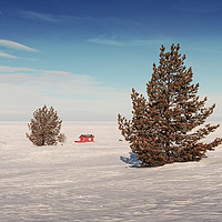 Buy canvas prints of Pine Trees On An Icy Beach by Jukka Heinovirta