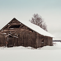 Buy canvas prints of Abandoned Barn House On The Snowy Fields by Jukka Heinovirta