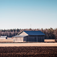 Buy canvas prints of Old Barn Houses On The Spring Fields by Jukka Heinovirta