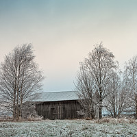 Buy canvas prints of Old Wooden Barn Surrounded By Trees by Jukka Heinovirta