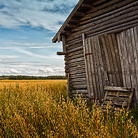 Buy canvas prints of Barn Doors And Rye Field by Jukka Heinovirta