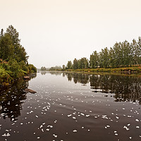 Buy canvas prints of Foggy Morning On The River by Jukka Heinovirta