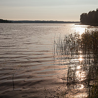 Buy canvas prints of Morning By The Lake by Jukka Heinovirta