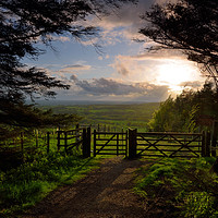 Buy canvas prints of Beacon Fell View by Alex Johnson