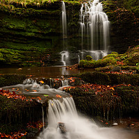 Buy canvas prints of Scaleber Force by Alex Johnson