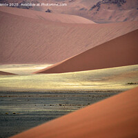 Buy canvas prints of Dune del namib by Salvatore Valente