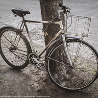 Buy canvas prints of Old Bicycle Chained at Tree by Daniel Ferreira-Leite
