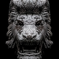 Buy canvas prints of Creepy Lion Head Sculpture Over Black by Daniel Ferreira-Leite