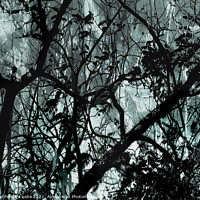 Buy canvas prints of Leafy Dark Nature Background by Daniel Ferreira-Leite