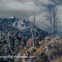 Nahuel Huapi Mountain Panorama