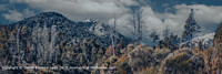 Click to show how this picture will look as a piece of wall art
