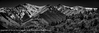 Click to show how this picture will look as a piece of wall art