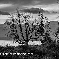 Nahuel Huapi Lake Black and White Landscape