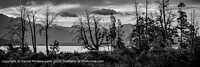 Click to show how this picture will look as a piece of wall art