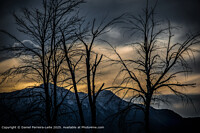 Click to show how this picture will look as a piece of wall art