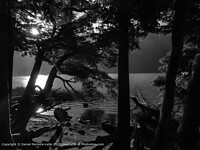 Click to show how this picture will look as a piece of wall art