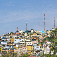 Buy canvas prints of Low Angle View of Cerro Santa Ana in Guayaquil Ecu by Daniel Ferreira-Leite