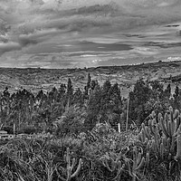Buy canvas prints of Ecuador Landscape Scene at Andes Range by Daniel Ferreira-Leite