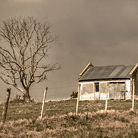 Buy canvas prints of Rural House Landscape Scene, Uruguay by Daniel Ferreira-Leite