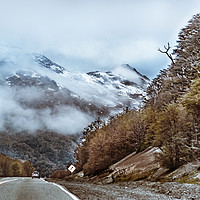 Buy canvas prints of Patagonian Highway, Los Lagos, Chile by Daniel Ferreira-Leite