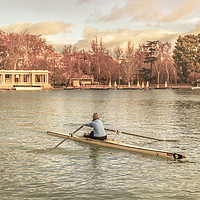 Buy canvas prints of Woman Rowing at Del Retiro Park, Madrid, Spain by Daniel Ferreira-Leite