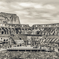 Buy canvas prints of Roman Coliseum Interior View, Rome, Italy by Daniel Ferreira-Leite