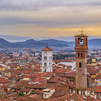 Buy canvas prints of Aerial View Historic Center of Lucca, Italy by Daniel Ferreira-Leite