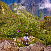Buy canvas prints of Woman Resting at Highs of Machu Picchu Mountain by Daniel Ferreira-Leite