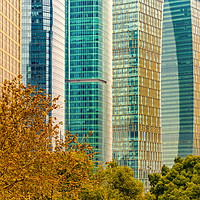 Buy canvas prints of Pudong Financial District, Shanghai, China by Daniel Ferreira-Leite