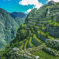 Buy canvas prints of Terraces of Macchu Pichu City by Daniel Ferreira-Leite