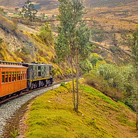 Buy canvas prints of Nariz del Diablo Train Trip Alausi Ecuador by Daniel Ferreira-Leite