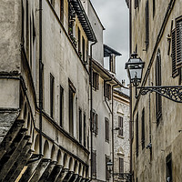 Buy canvas prints of Street of Historic Center of Florence  by Daniel Ferreira-Leite
