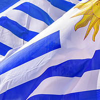 Buy canvas prints of Uruguay Flags Waving by Daniel Ferreira-Leite