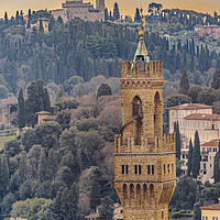 Buy canvas prints of Aerial View Florence, Italy by Daniel Ferreira-Leite