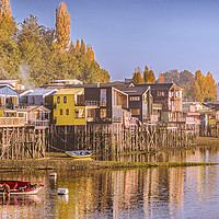 Buy canvas prints of Palafito Houses at Lake, Chiloe, Chile by Daniel Ferreira-Leite
