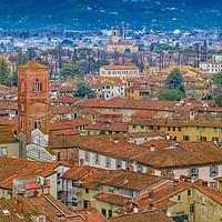 Buy canvas prints of Aerial View Historic Center of Lucca, Italy by Daniel Ferreira-Leite