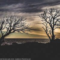 Buy canvas prints of Coastal Sunset Scene at Montevideo City, Uruguay by Daniel Ferreira-Leite