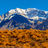 Buy canvas prints of Aconcagua National, Park, Mendoza, Argentina by Daniel Ferreira-Leite
