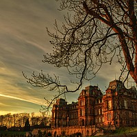 Buy canvas prints of Bowes Museum                              by Andrew Williams